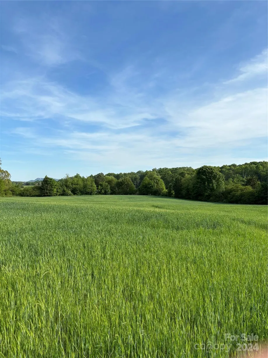 Charlotte Real Estate | View 00 Weaver Dairy Road