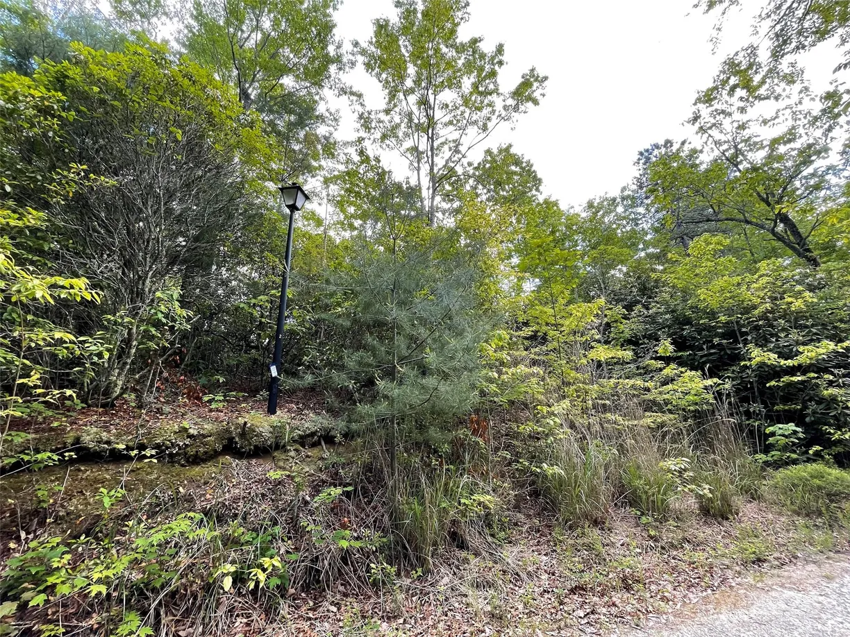 Charlotte Real Estate | View 72 Emma Bri Lane | Listing