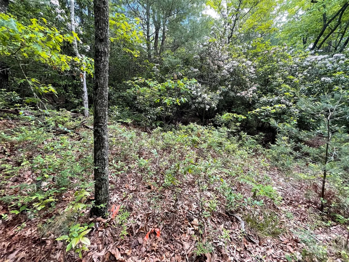 Charlotte Real Estate | View 72 Emma Bri Lane | Listing