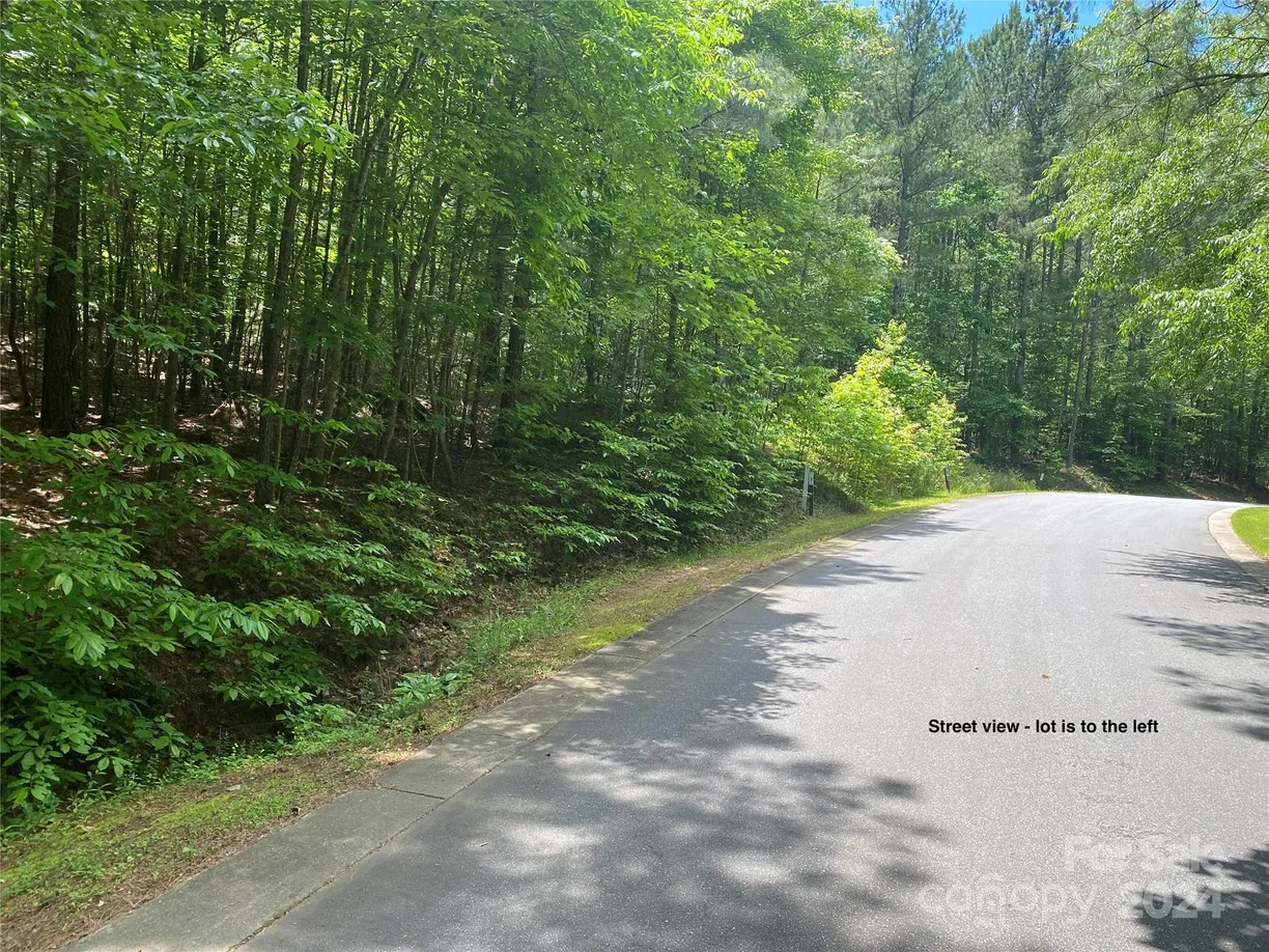 Charlotte Real Estate | View 218 Grandfathers Pass