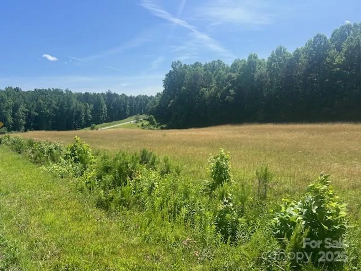 Charlotte Real Estate | View 0 Ebenezer Road