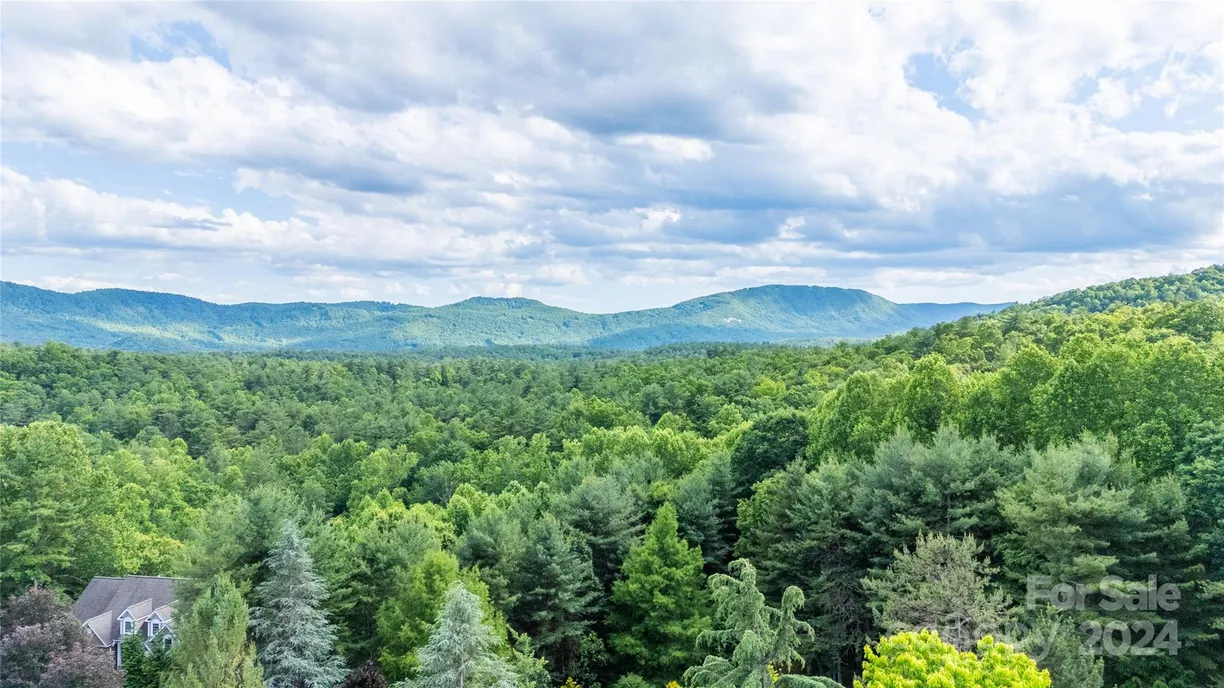 Charlotte Real Estate | View 0 South Ridge Drive, 61/62