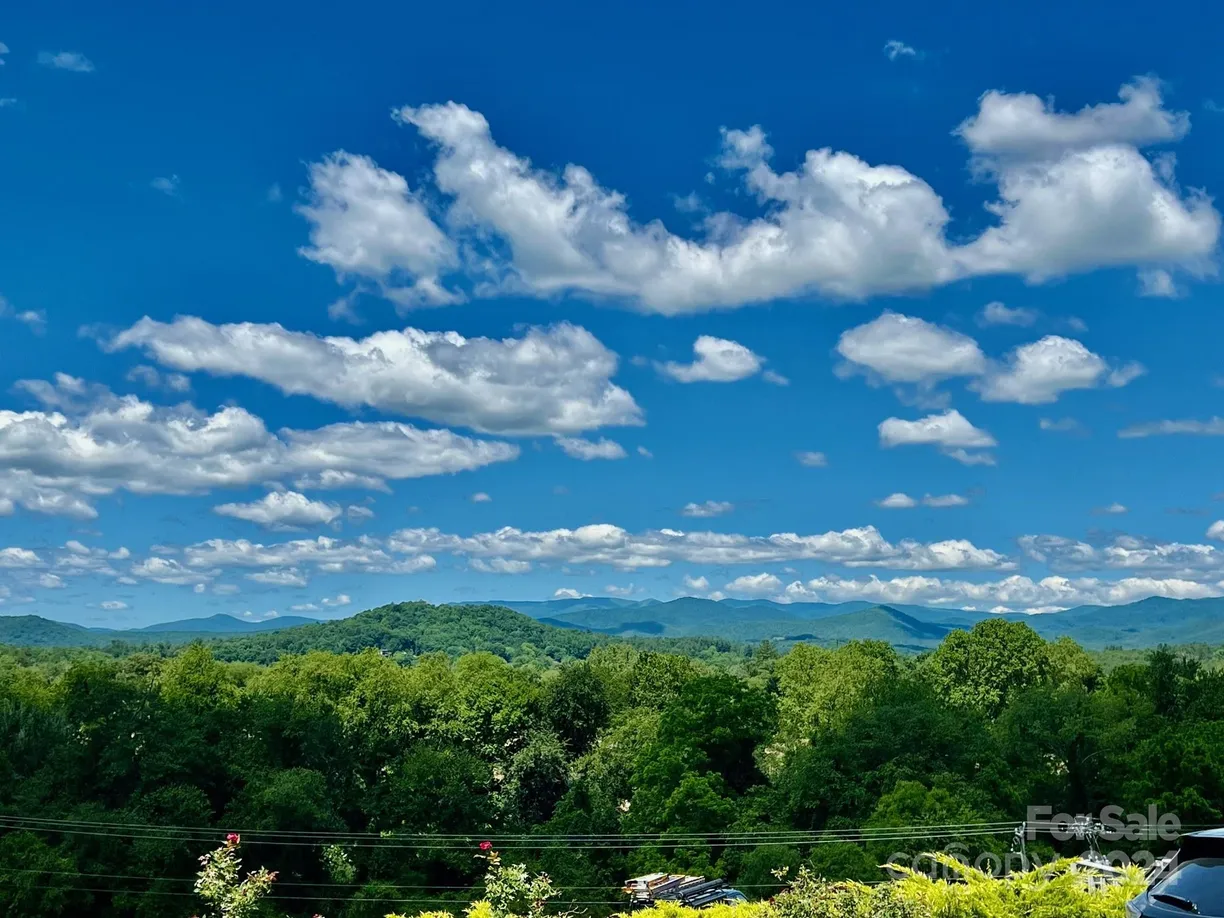Charlotte Real Estate | View 271 Mountain Morning Lane, 41 | Listing