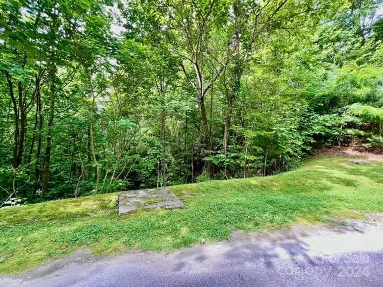 Charlotte Real Estate | View 271 Mountain Morning Lane, 41 | Listing