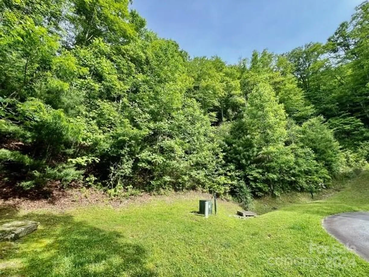 Charlotte Real Estate | View 271 Mountain Morning Lane, 41