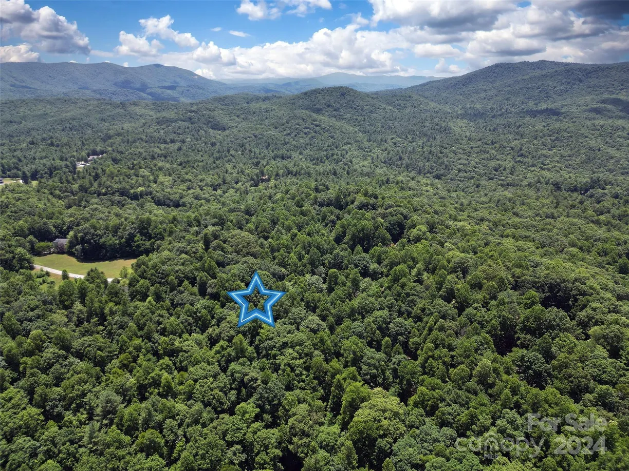 Charlotte Real Estate | View TBD Hickory Tree Lane | Listing