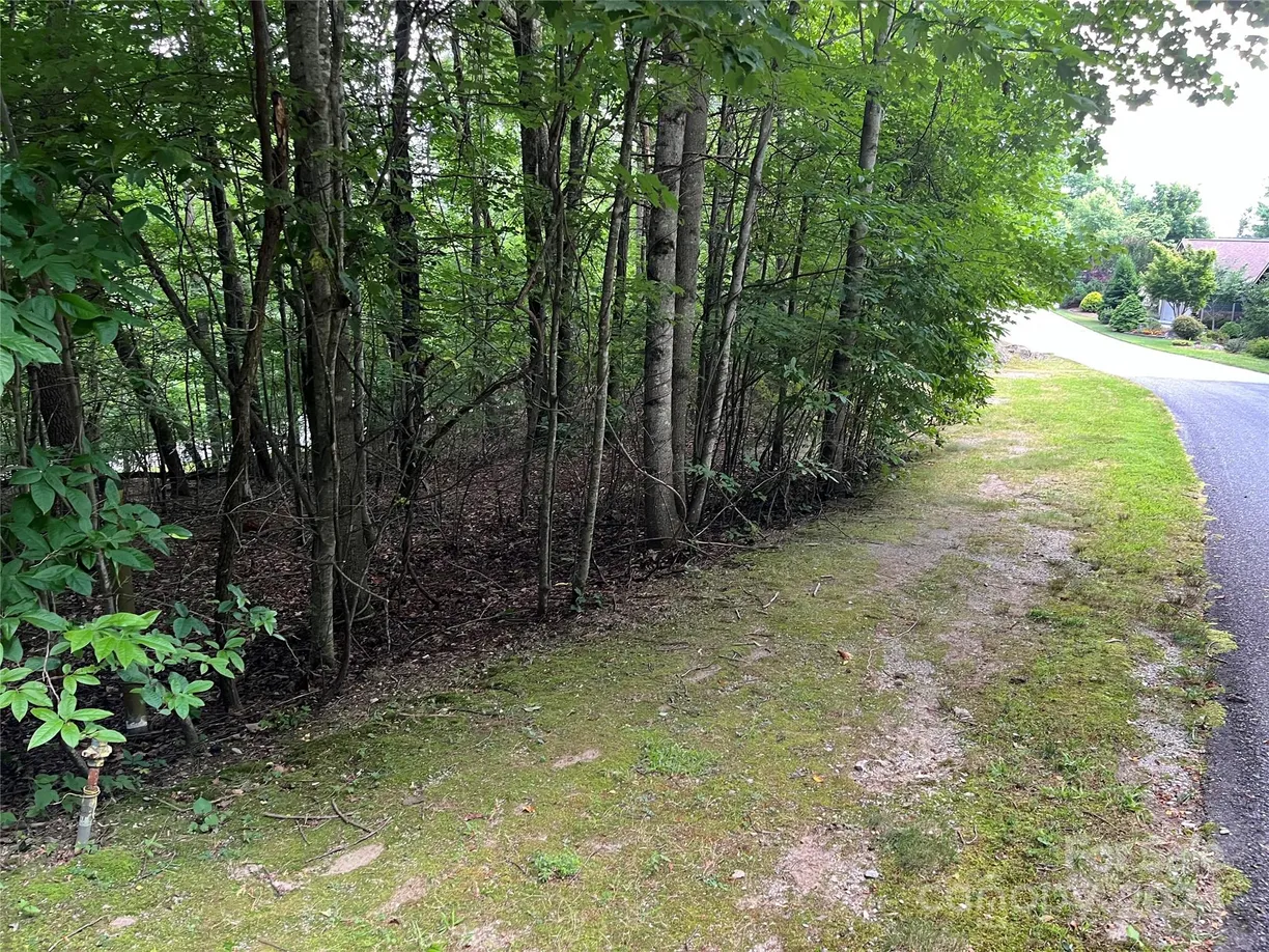 Charlotte Real Estate | View 185 Ladys Fern Trail, 8-G