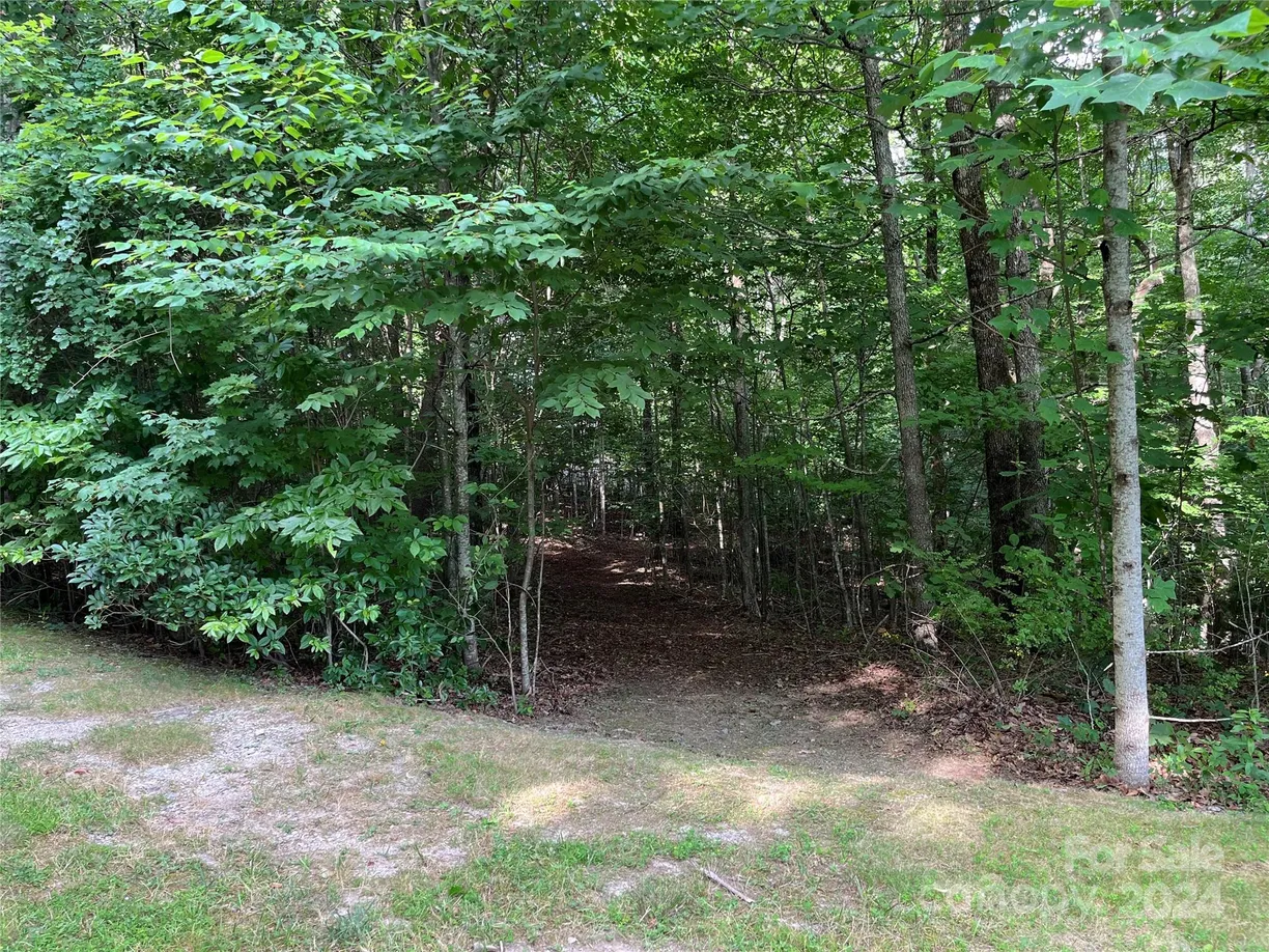 Charlotte Real Estate | View 185 Ladys Fern Trail, 8-G | Listing
