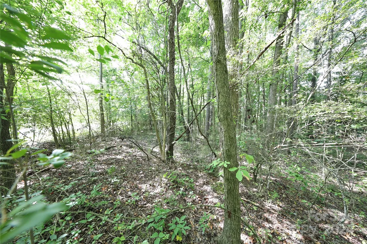 Charlotte Real Estate | View 3824 Winchester Road | Listing