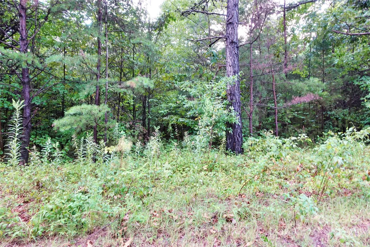 Charlotte Real Estate | View 0000 Gun Club Road | Listing