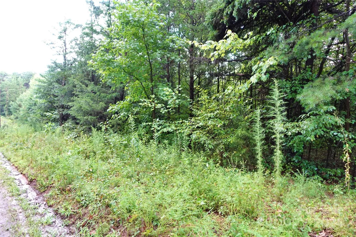 Charlotte Real Estate | View 0000 Gun Club Road | Listing