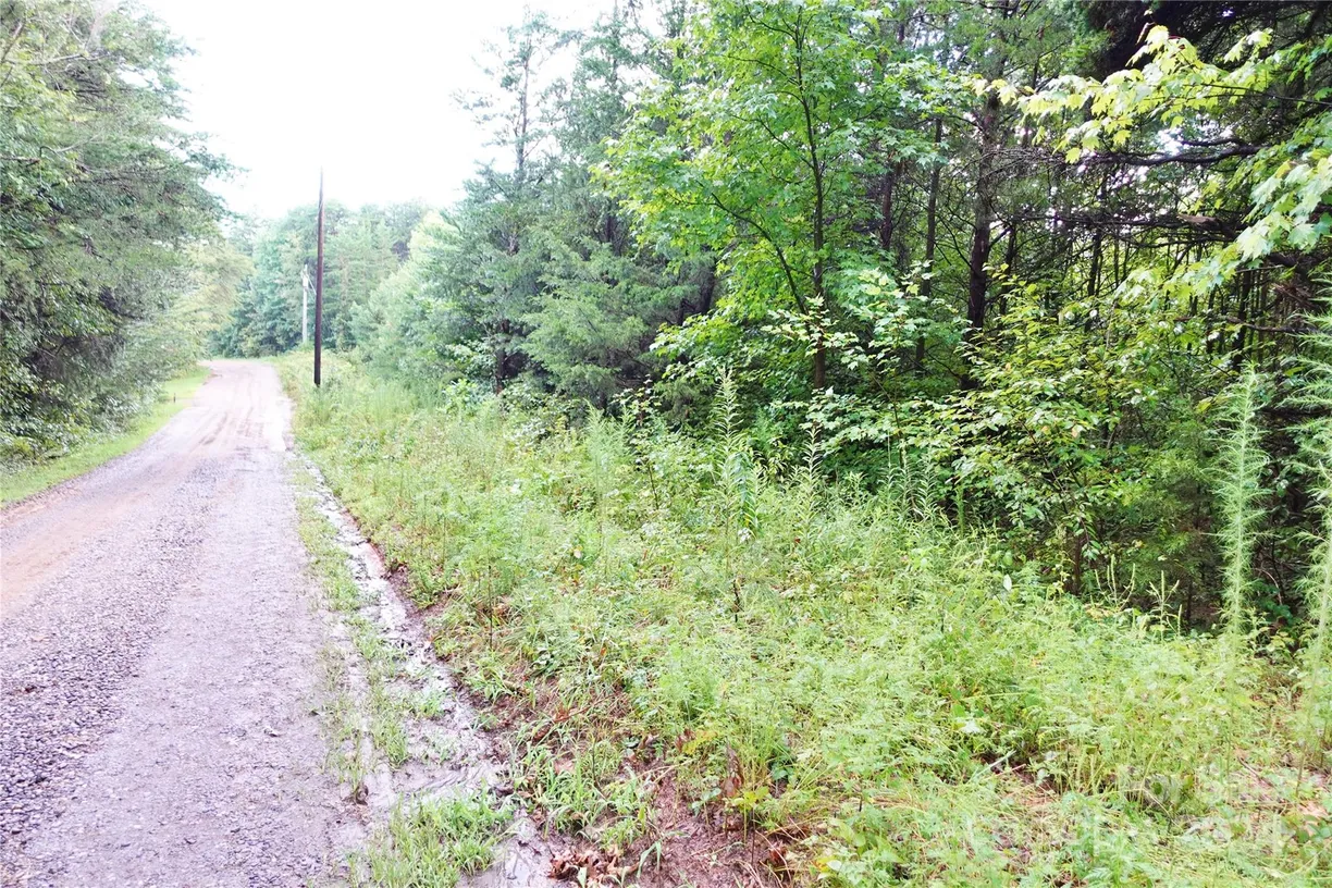 Charlotte Real Estate | View 0000 Gun Club Road