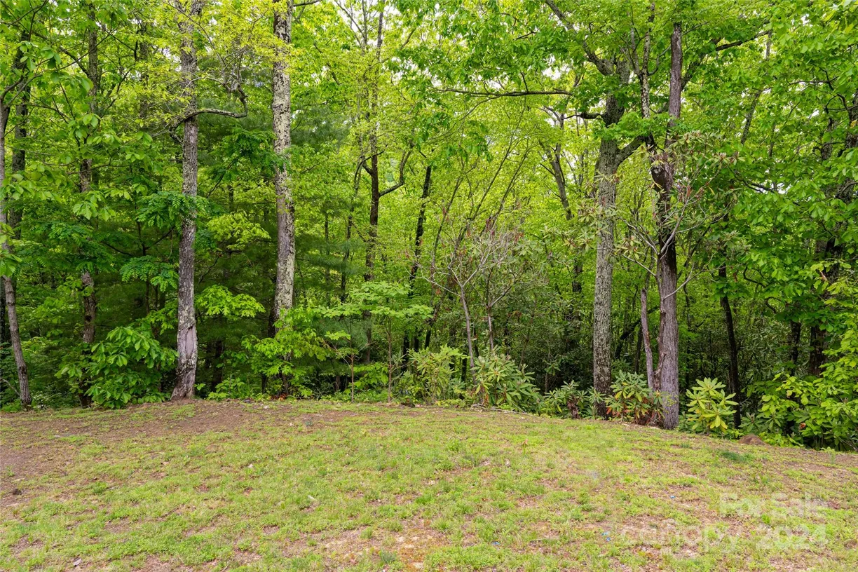 Charlotte Real Estate | View 1111 Elm Tree Lane, 48 | Listing