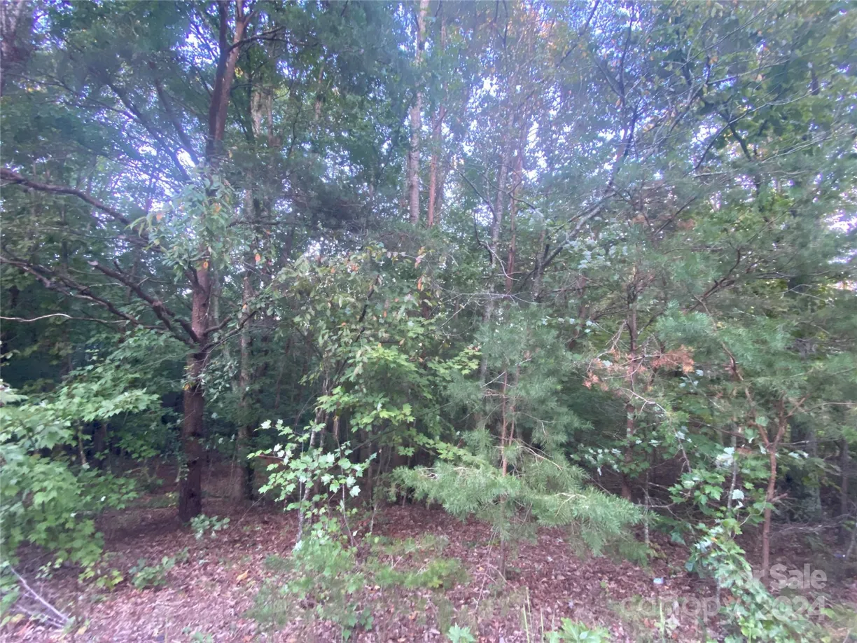 Charlotte Real Estate | View 1301 Shadowfax Wynd None, 51 | Listing
