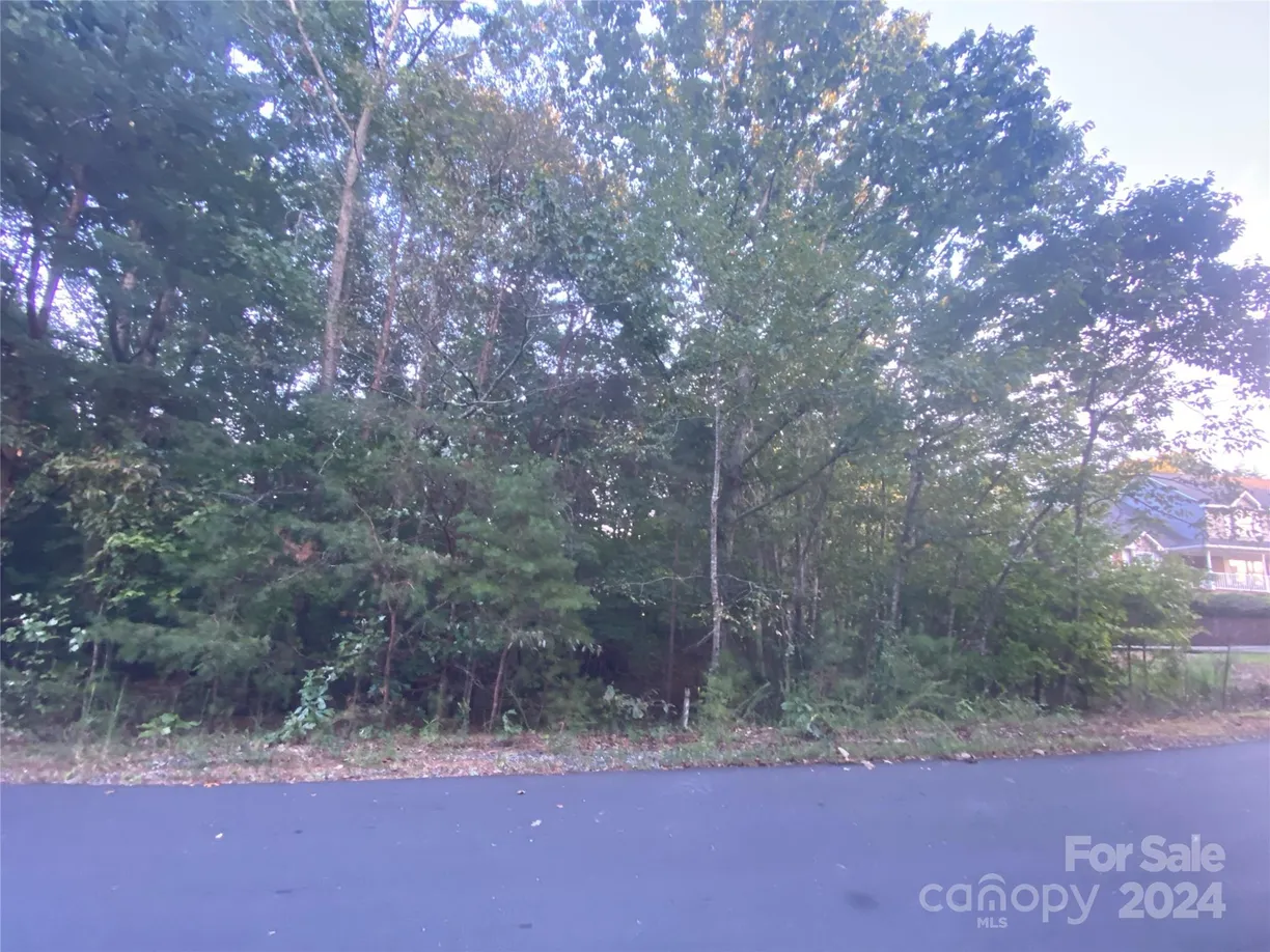 Charlotte Real Estate | View 1301 Shadowfax Wynd None, 51 | Listing