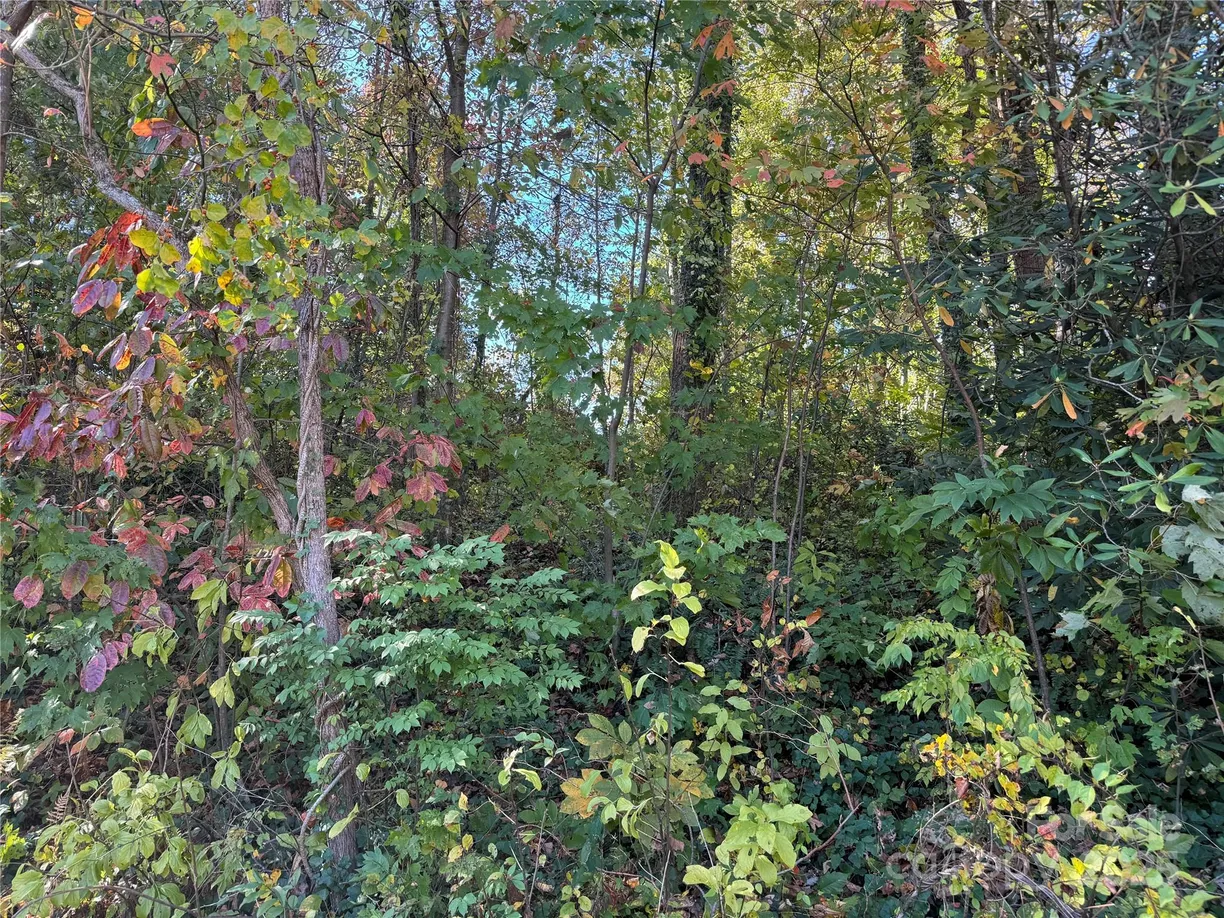 Charlotte Real Estate | View 00 Upper Ridgewood Boulevard | Listing