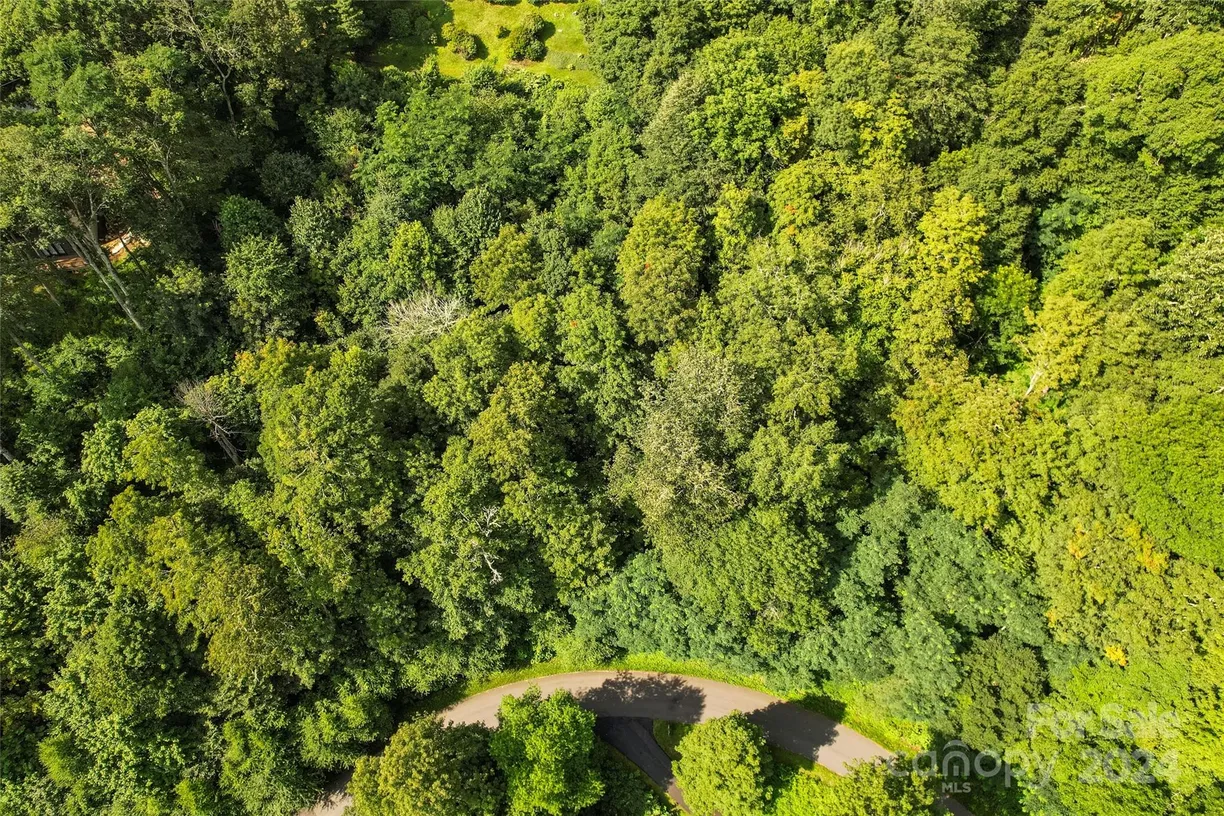 Charlotte Real Estate | View 00 Unula Loop, E6 | Listing