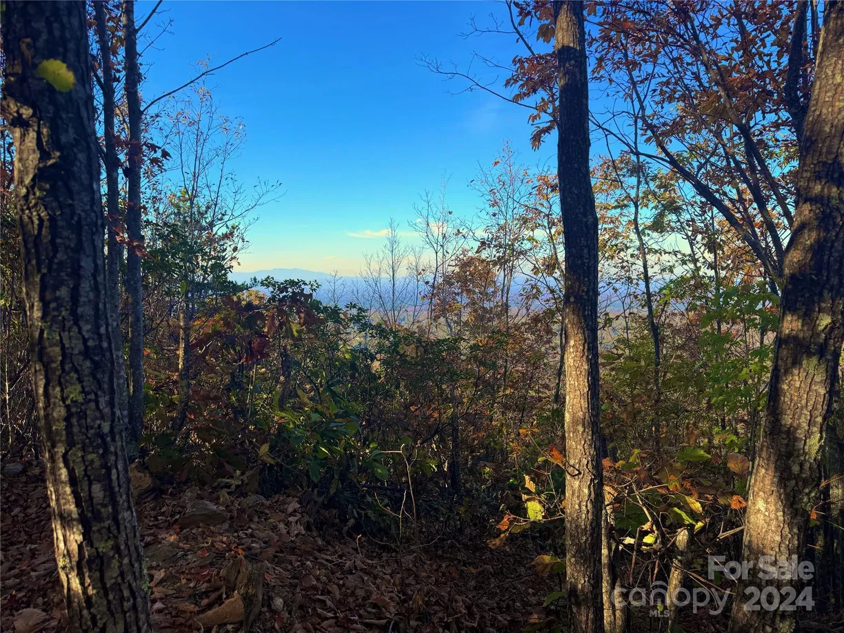 Charlotte Real Estate | View 3721 Mountain Vista Drive, 28A | Listing