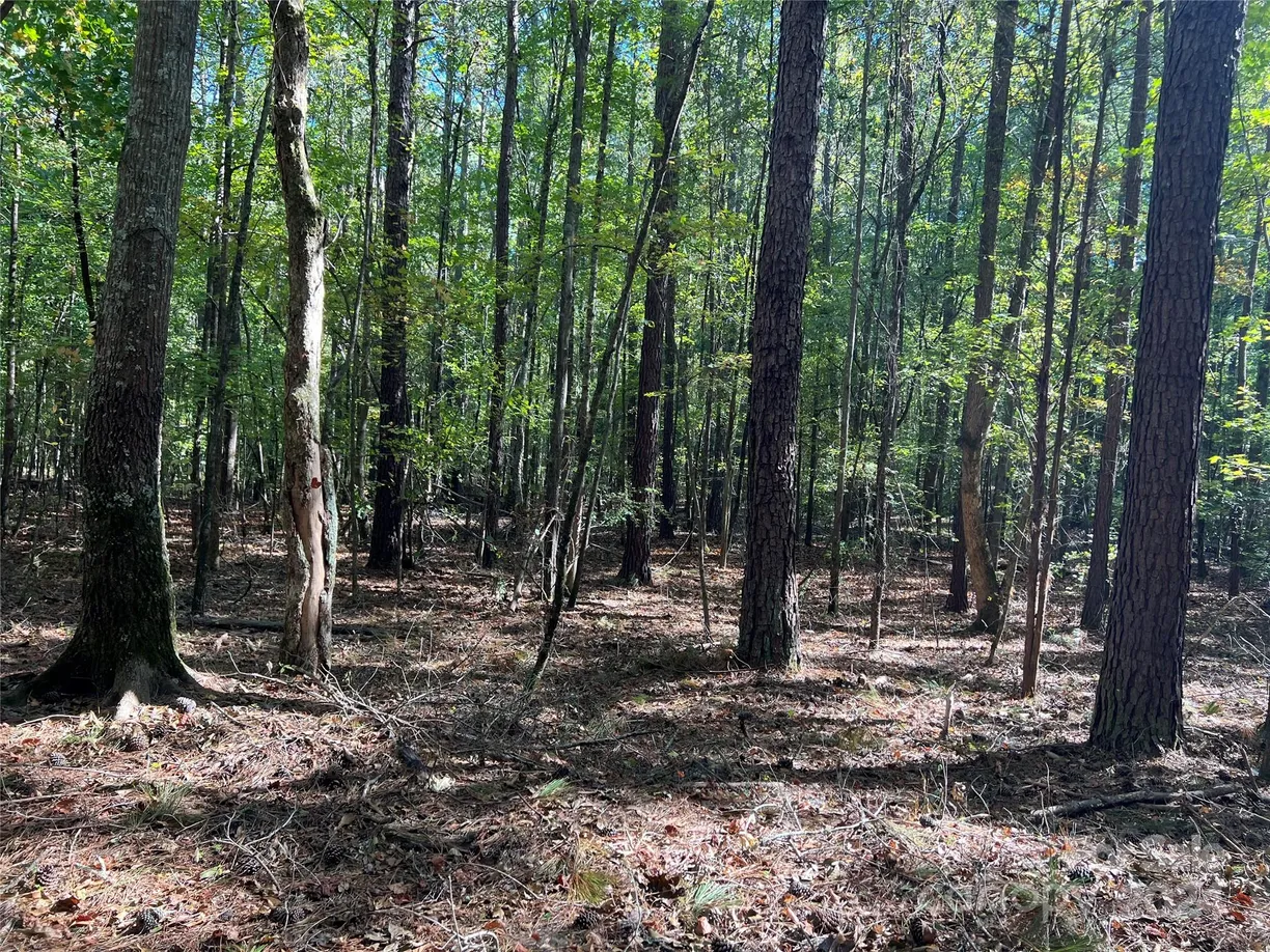 Charlotte Real Estate | View 2390 Highway 321 Highway