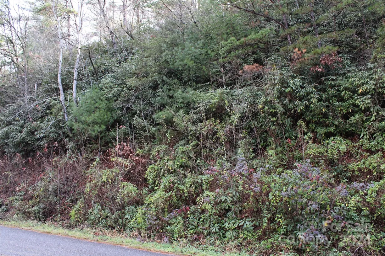 Charlotte Real Estate | View TBD Stamey Creek Road | Listing
