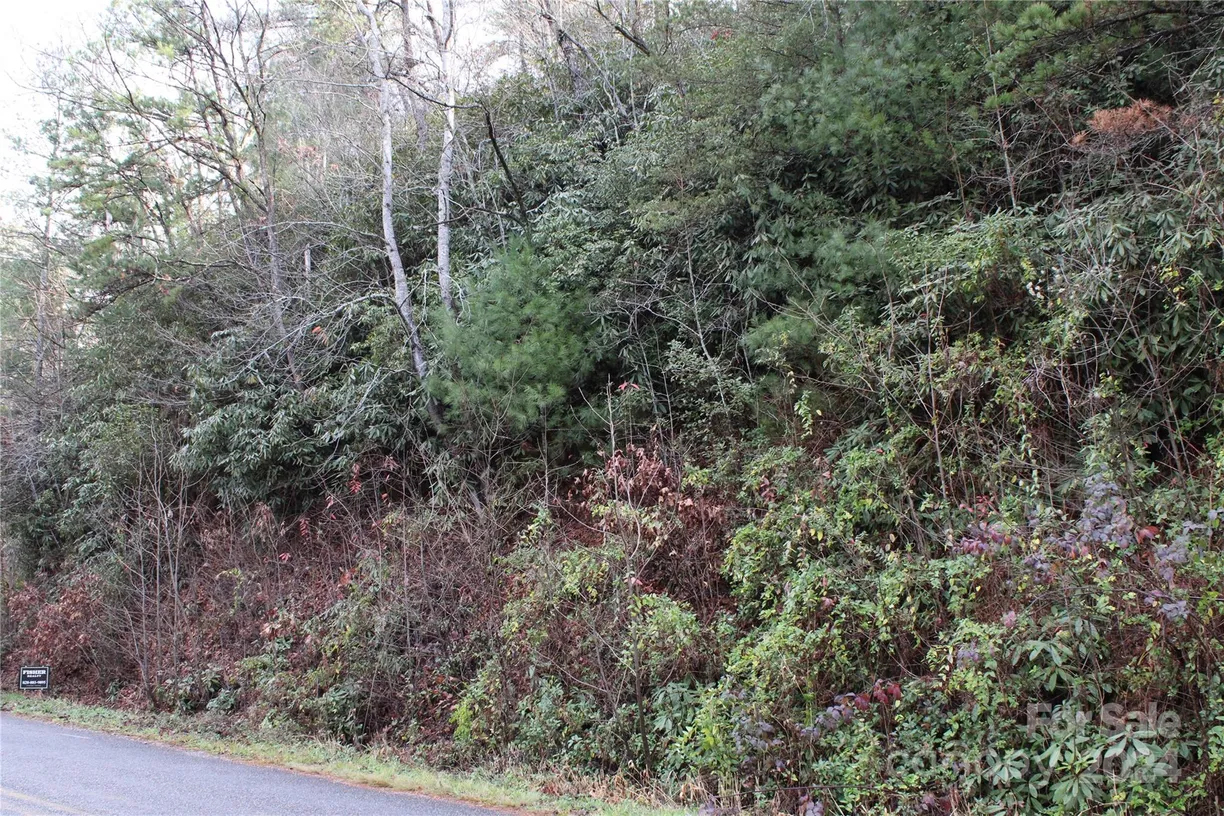 Charlotte Real Estate | View TBD Stamey Creek Road | Listing
