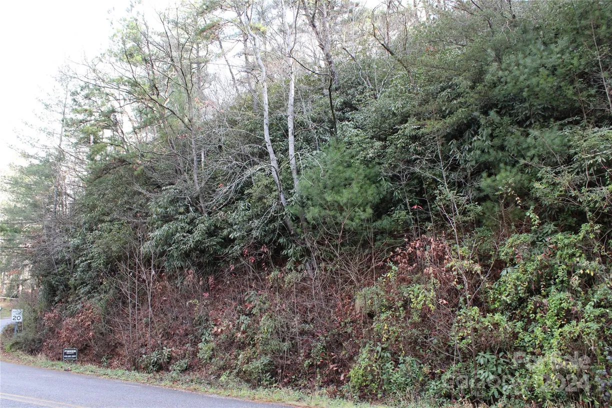 Charlotte Real Estate | View TBD Stamey Creek Road