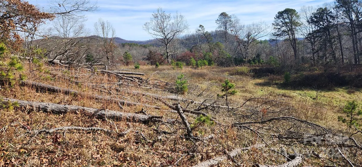 Charlotte Real Estate | View 1 Gaylors Branch Branch, 1 | Listing