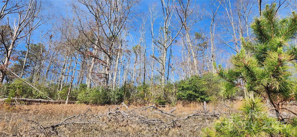 Charlotte Real Estate | View 1 Gaylors Branch Branch, 1 | Listing