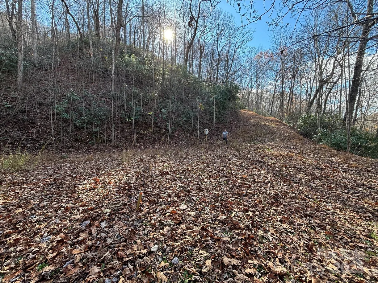 Charlotte Real Estate | View OFF Houston Farm Road