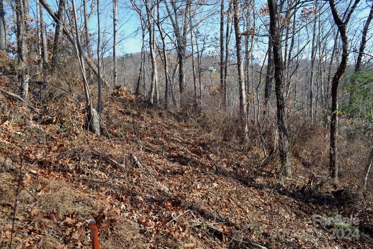 Charlotte Real Estate | View 377 Elk Mountain Scenic Highway