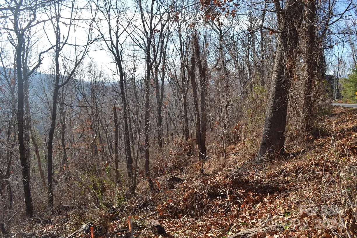 Charlotte Real Estate | View 377 Elk Mountain Scenic Highway | Listing