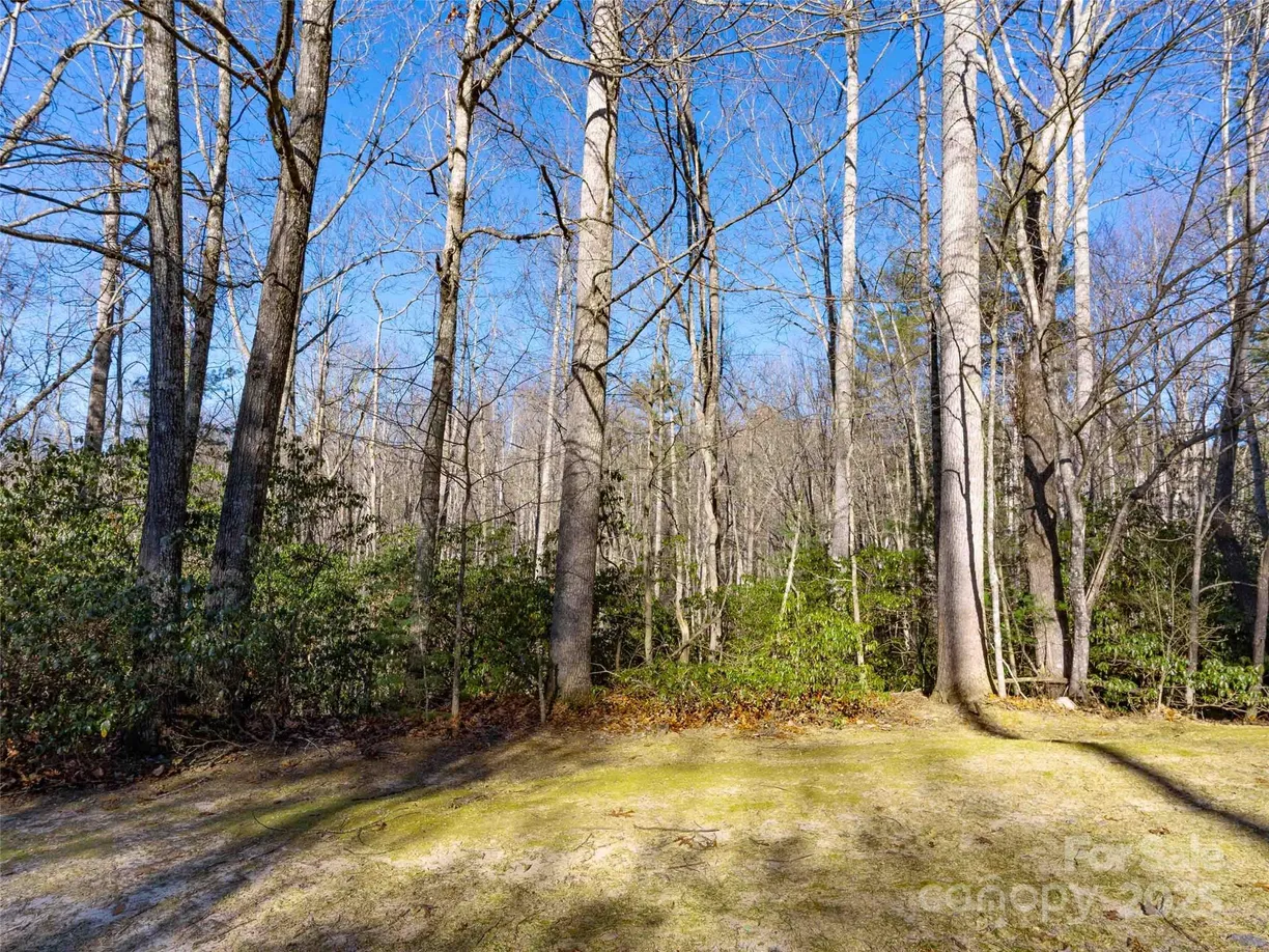 Charlotte Real Estate | View 000 Chattooga Run, 306 | Listing