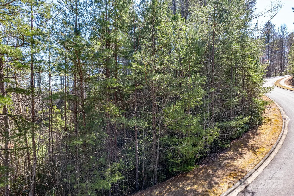 Charlotte Real Estate | View TBD Camptown Road, M139 | Listing