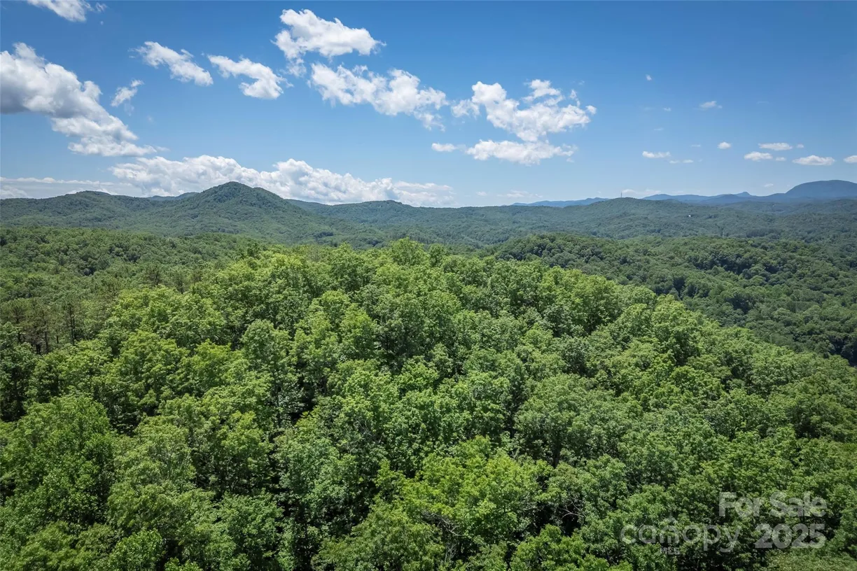 Charlotte Real Estate | View TBD Girl Scout Camp Road
