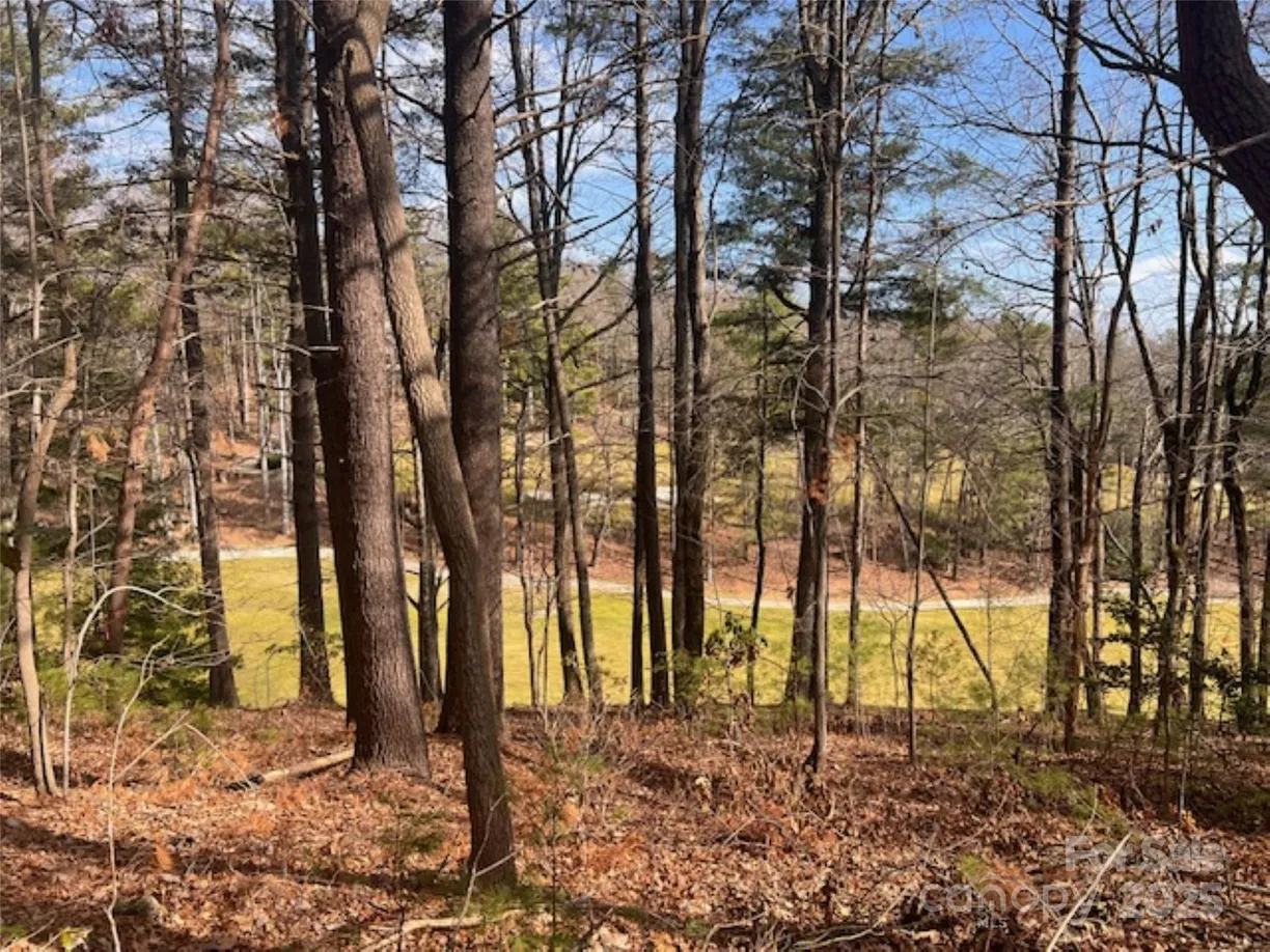 Charlotte Real Estate | View 121 Bobby Jones Drive, 48