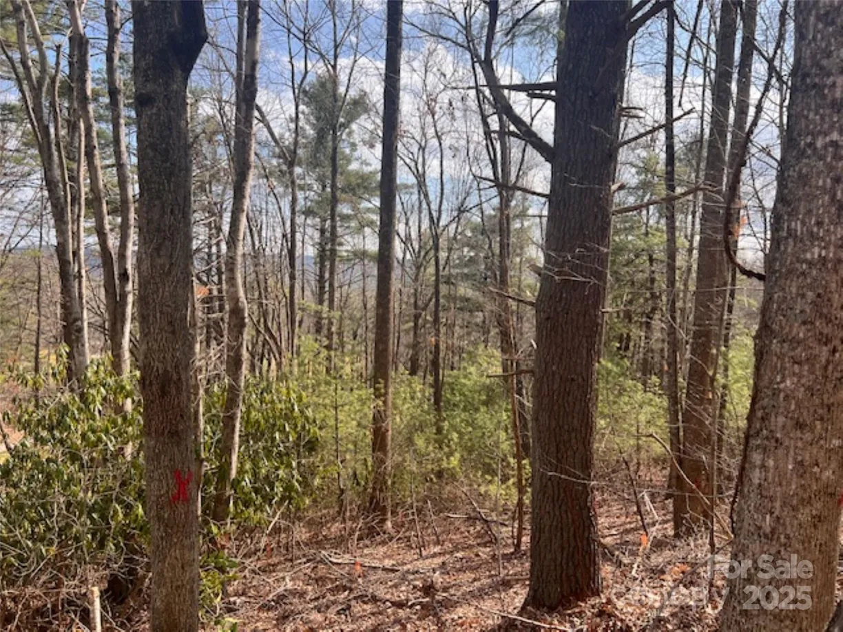 Charlotte Real Estate | View 121 Bobby Jones Drive, 48 | Listing