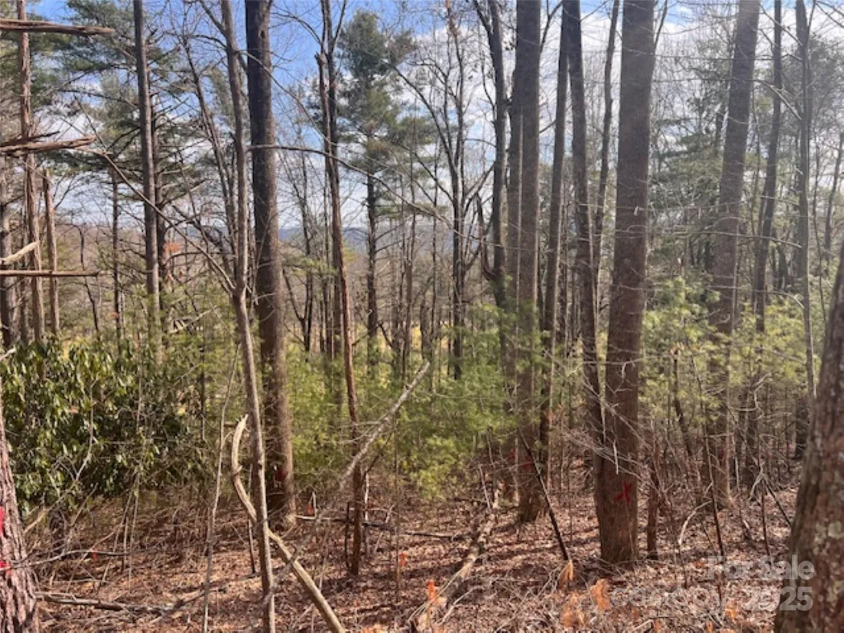 Charlotte Real Estate | View 121 Bobby Jones Drive, 48 | Listing