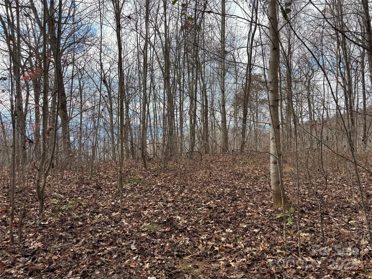 Charlotte Real Estate | View Lot 64 Grizzly Ridge | Listing