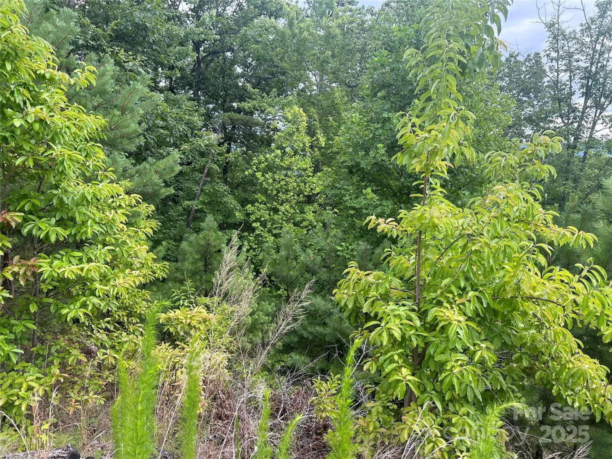 Charlotte Real Estate | View tbd Lobelia Lane, 72 | Listing
