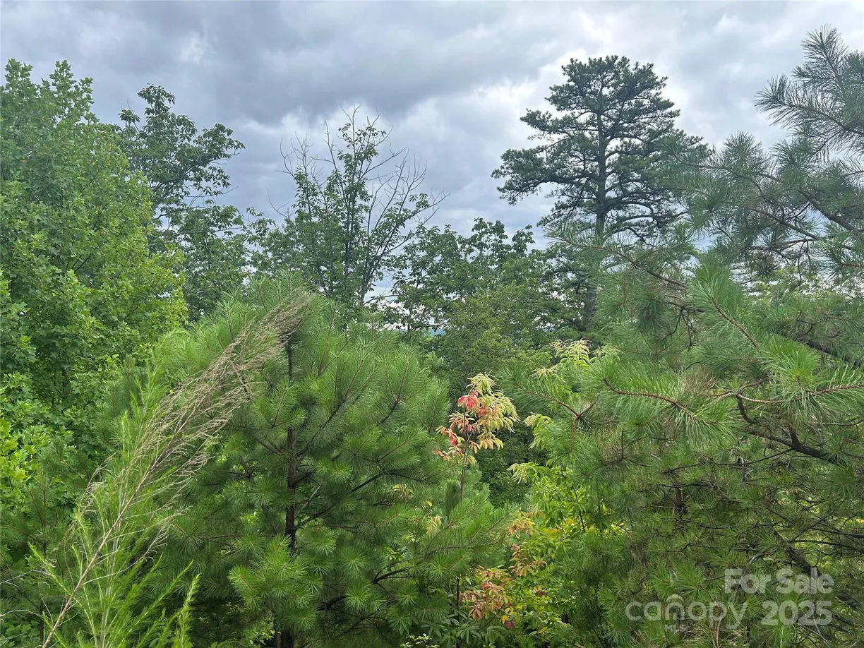 Charlotte Real Estate | View tbd Lobelia Lane, 72 | Listing