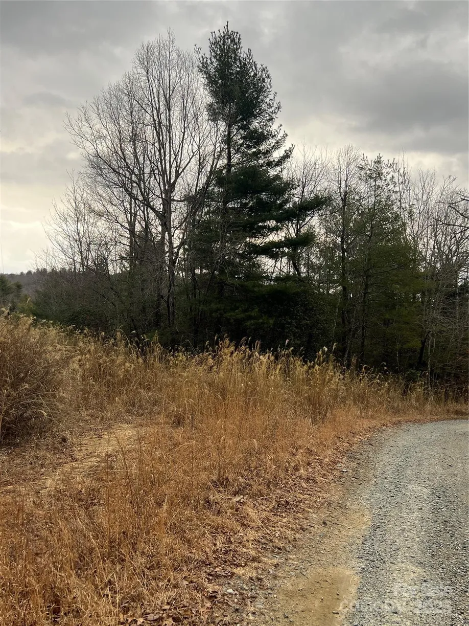Charlotte Real Estate | View 000 Dogwood Lane, D4