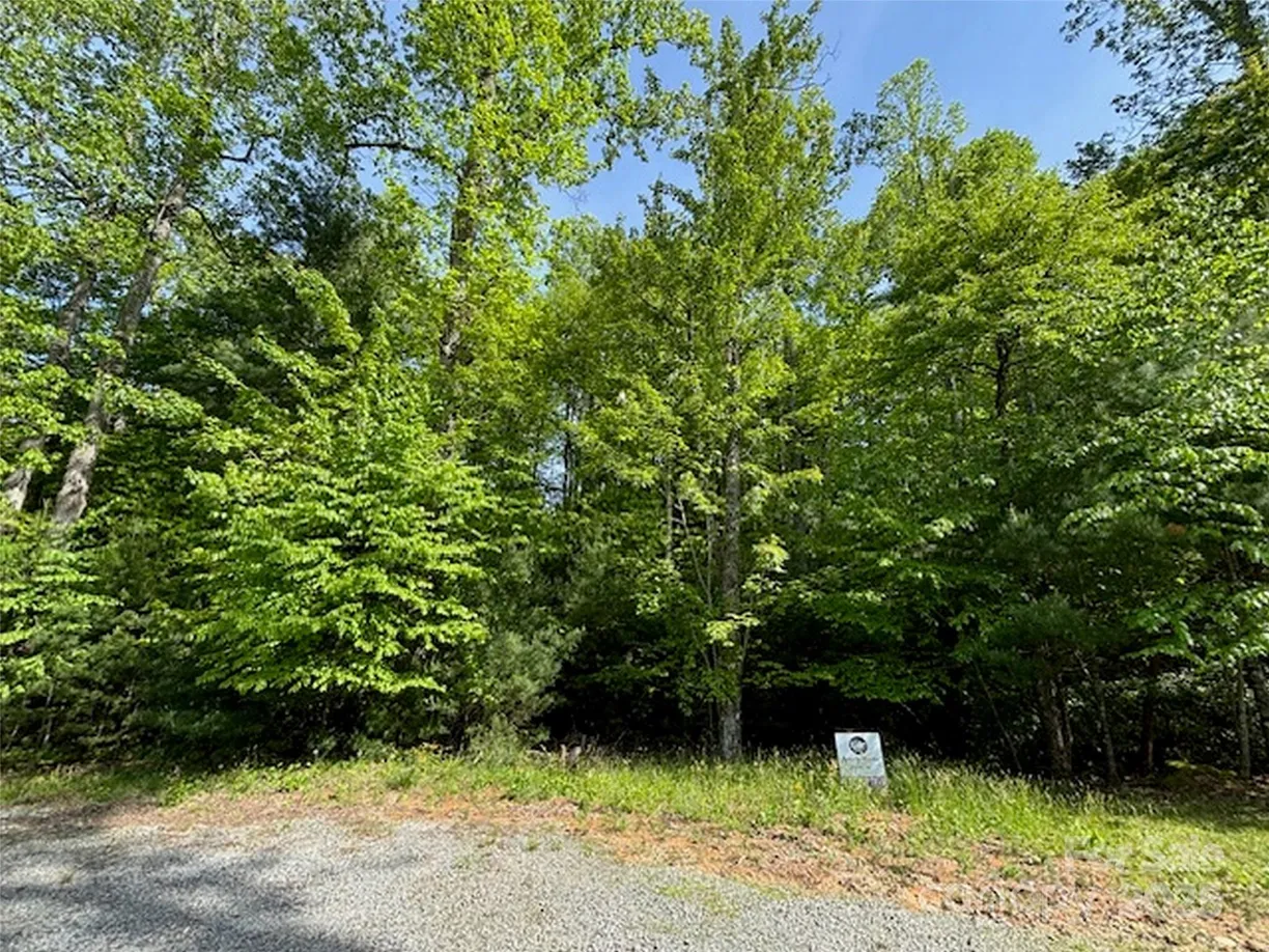 Charlotte Real Estate | View 99999 Small Creek Road, 4 | Listing