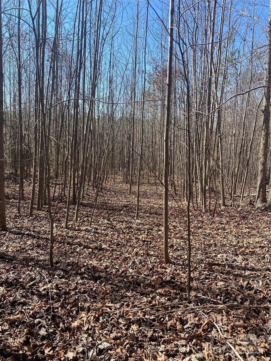 Charlotte Real Estate | View 00 NC Hwy 18 Highway | Listing