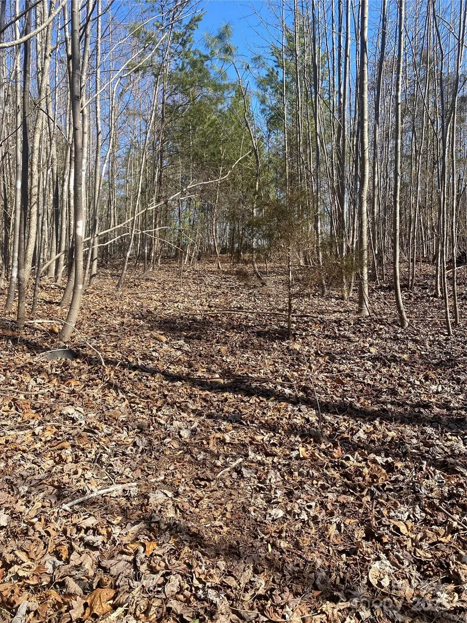Charlotte Real Estate | View 00 NC Hwy 18 Highway