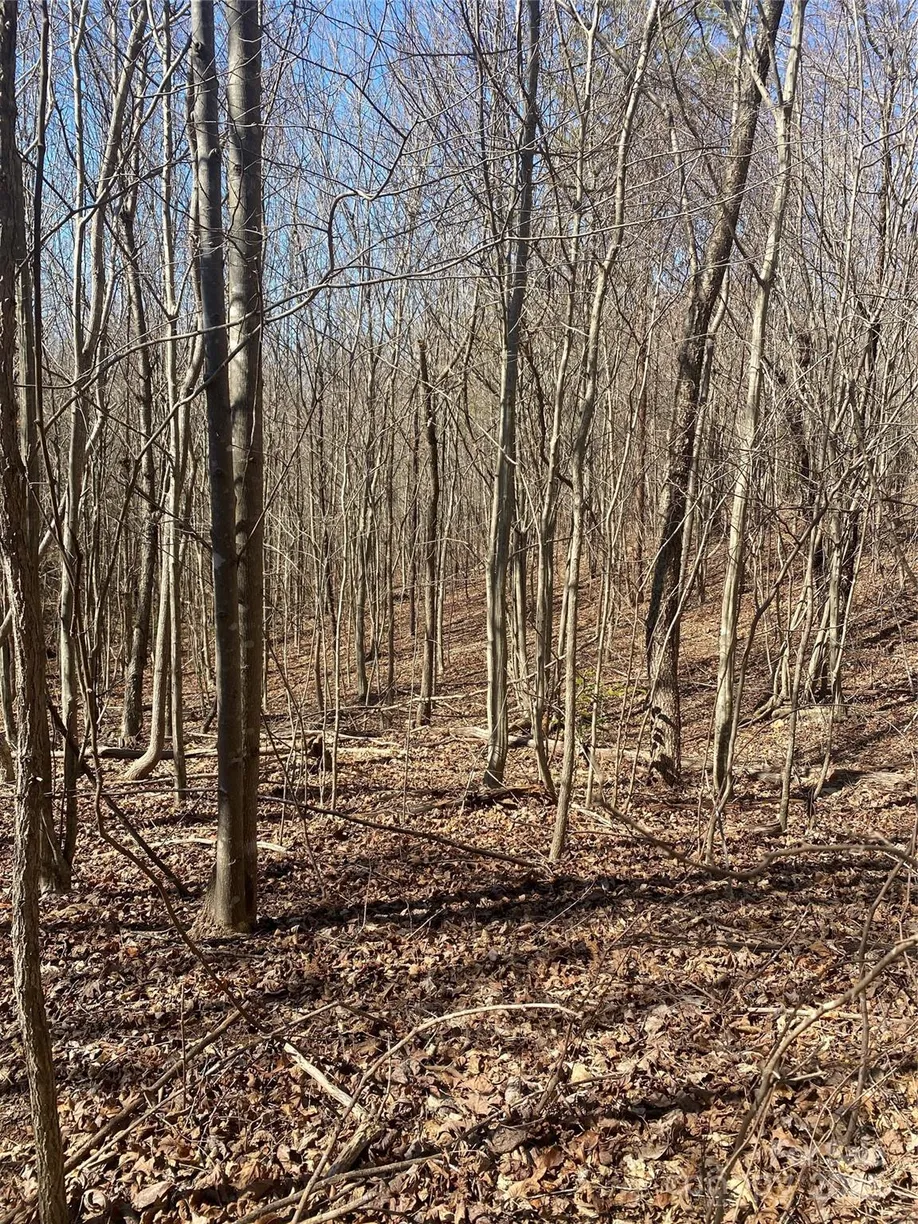 Charlotte Real Estate | View 00 NC Hwy 18 Highway | Listing
