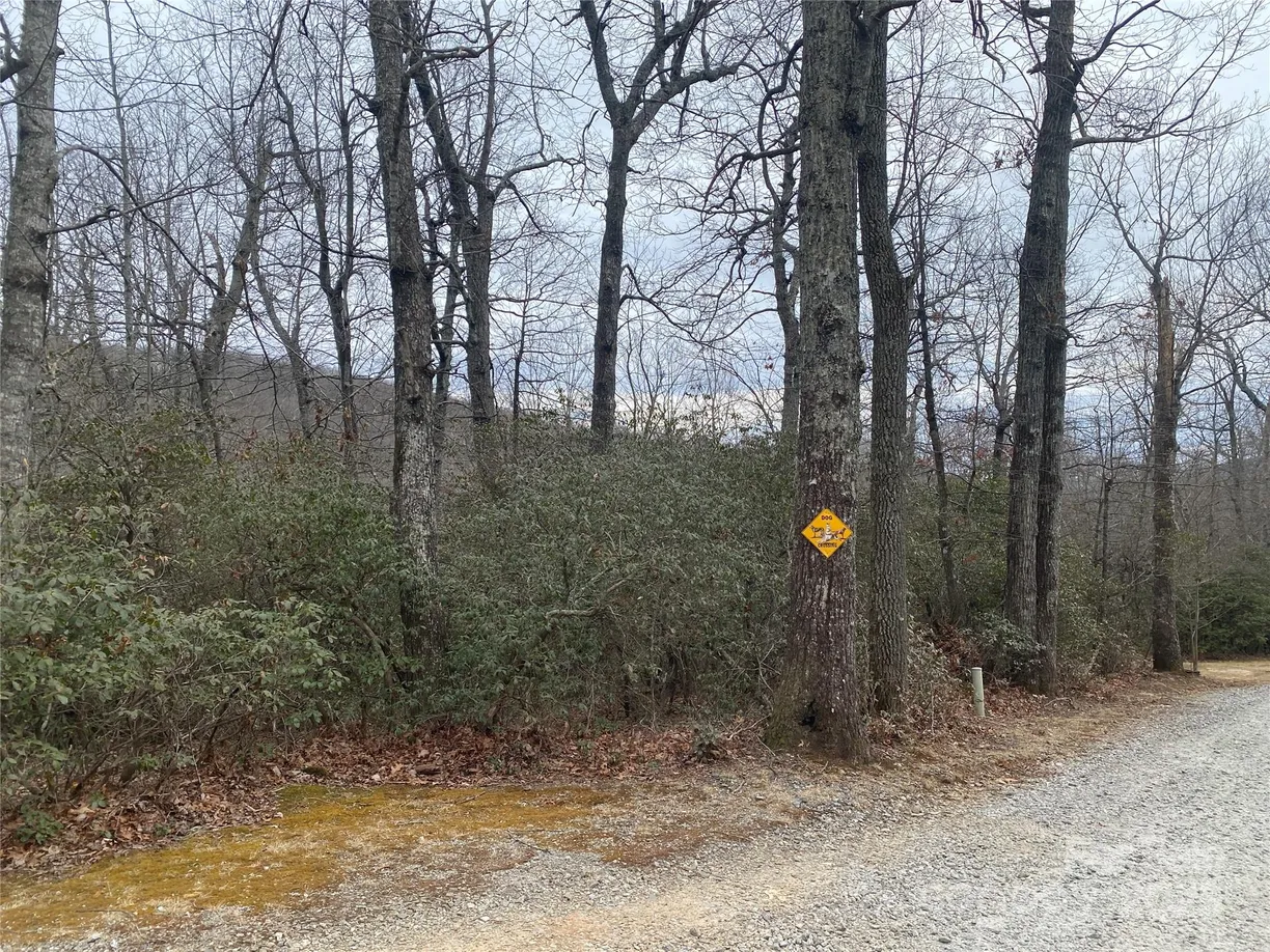 Charlotte Real Estate | View Lot 10 Mountain Cove Road | Listing