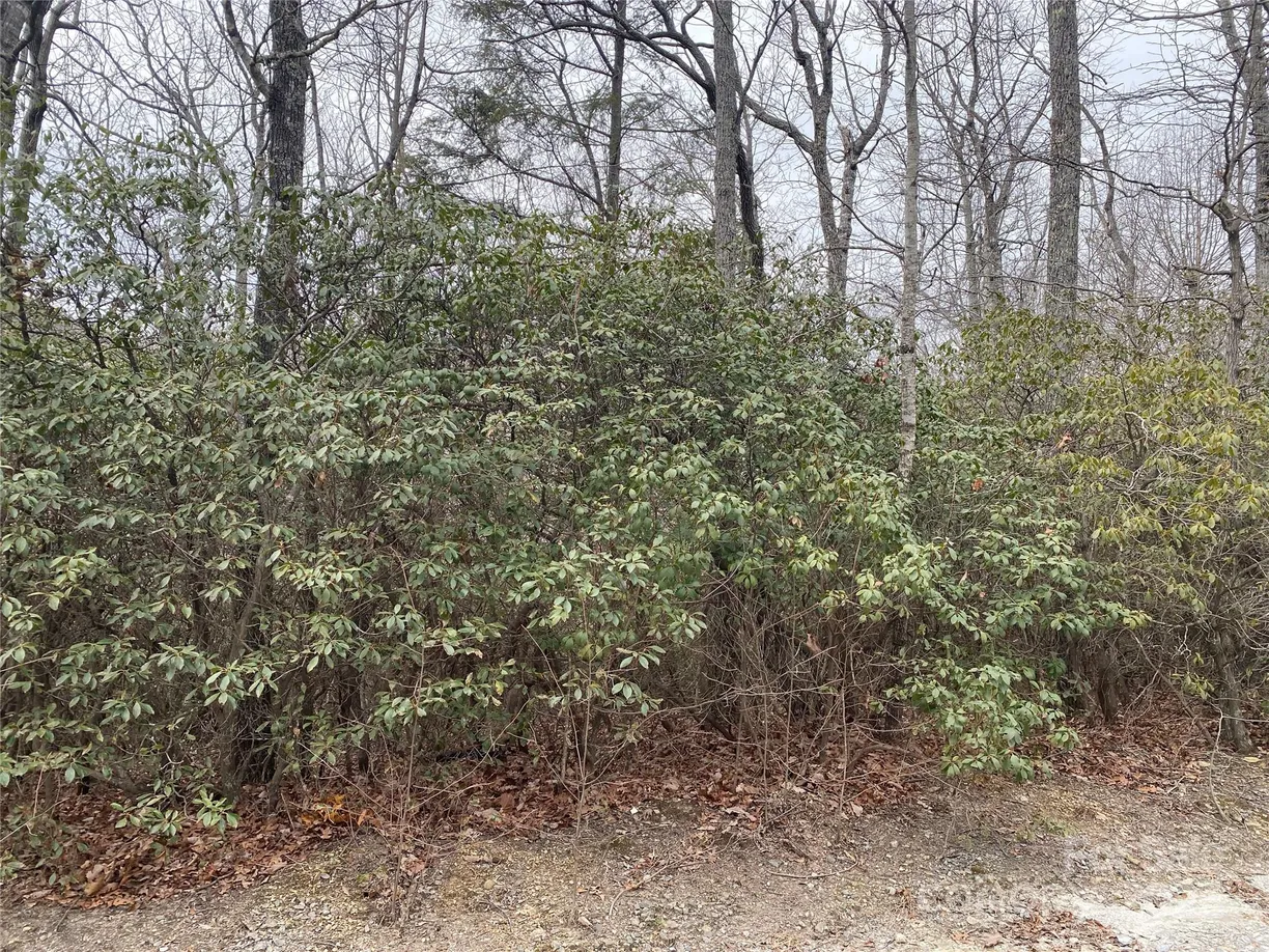 Charlotte Real Estate | View Lot B Pinebluff Court | Listing