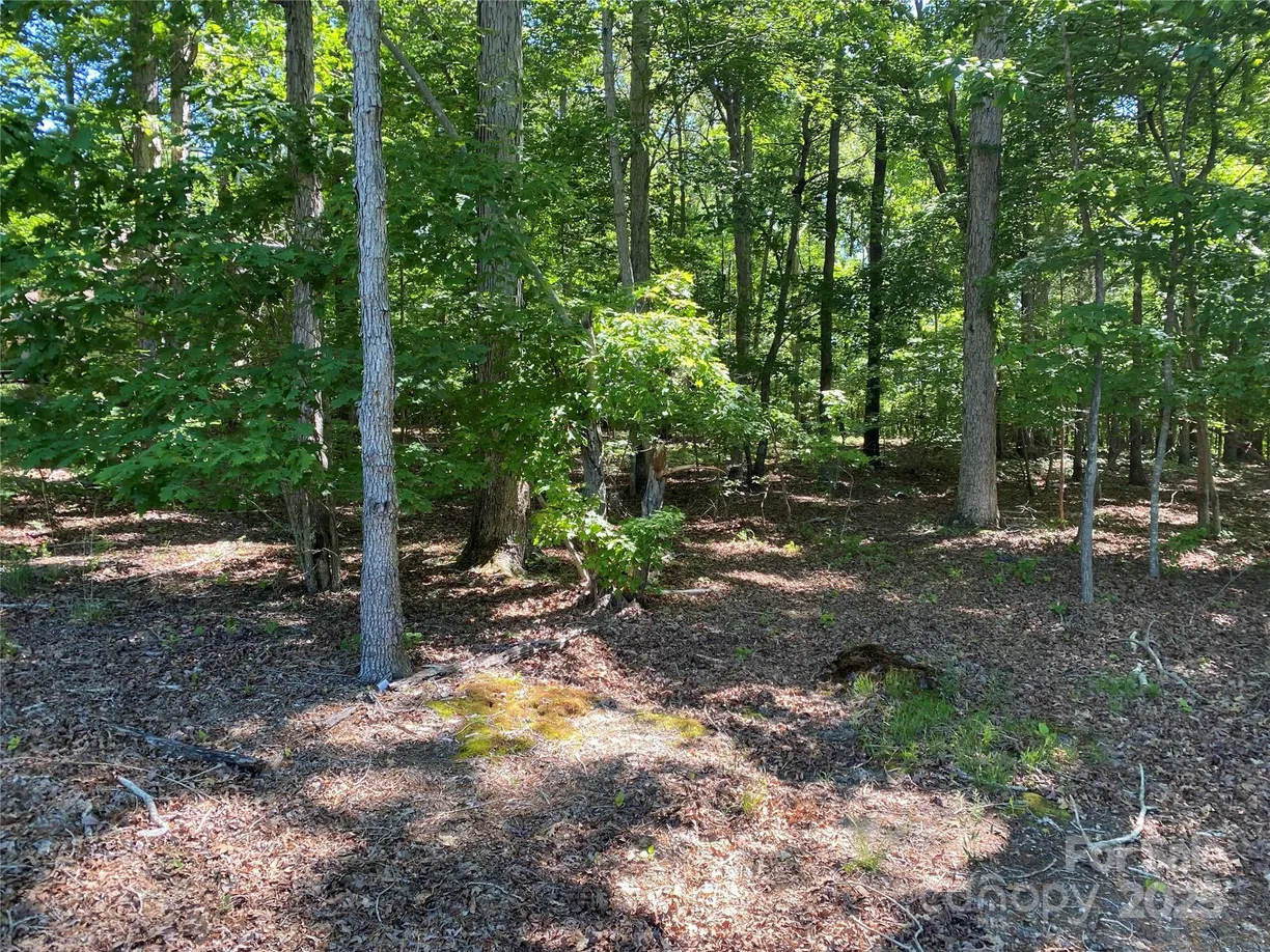 Charlotte Real Estate | View 4833 Pimlico Lane