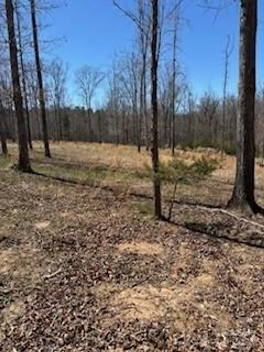 Charlotte Real Estate | View 1639 +1643 Mallard Bay Drive, 17 & 18 | Listing