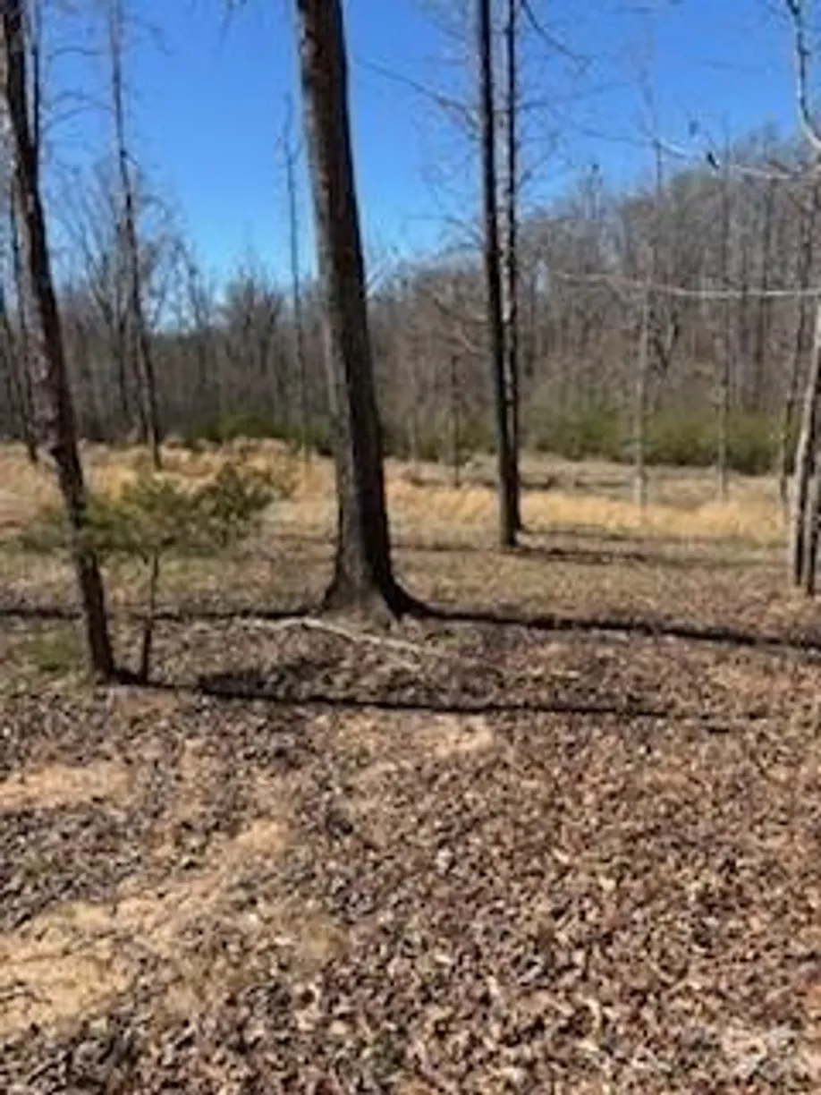Charlotte Real Estate | View 1639 +1643 Mallard Bay Drive, 17 & 18 | Listing